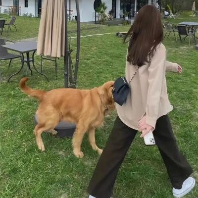 爱情抓马 海报